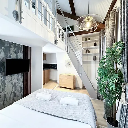 Stylish Duplex In Front Of Buttes-chaumont Appartamento Parigi