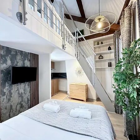 Stylish Duplex In Front Of Buttes-chaumont Parigi